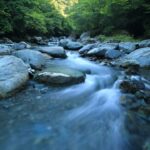 Stream in the woods with rocks lining the riverbed.