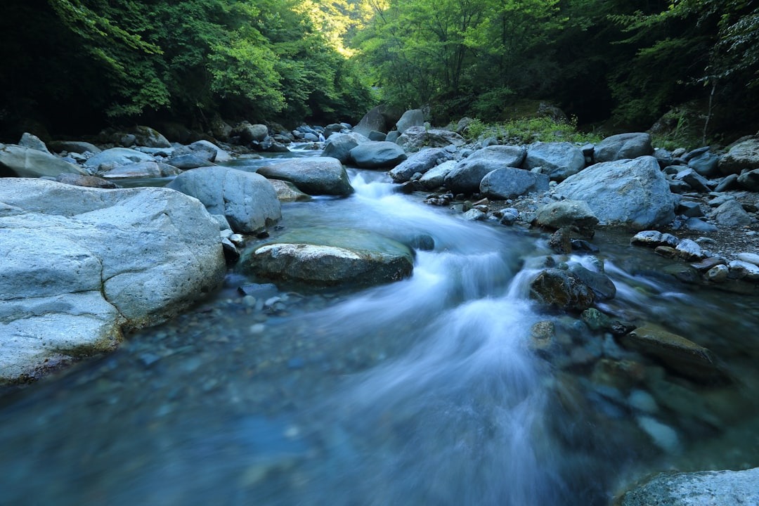 Stream in the woods with rocks lining the riverbed.