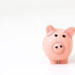 Pink piggy bank on a white background